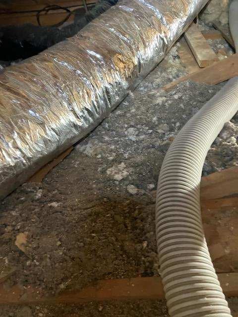 Comprehensive Attic Remediation in Missoula