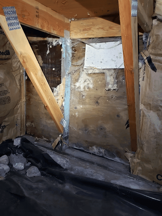 Exposed wooden beams and insulation in an attic with moisture damage and debris visible.