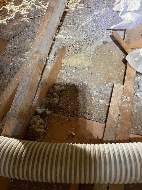 Comprehensive Attic Remediation in Missoula