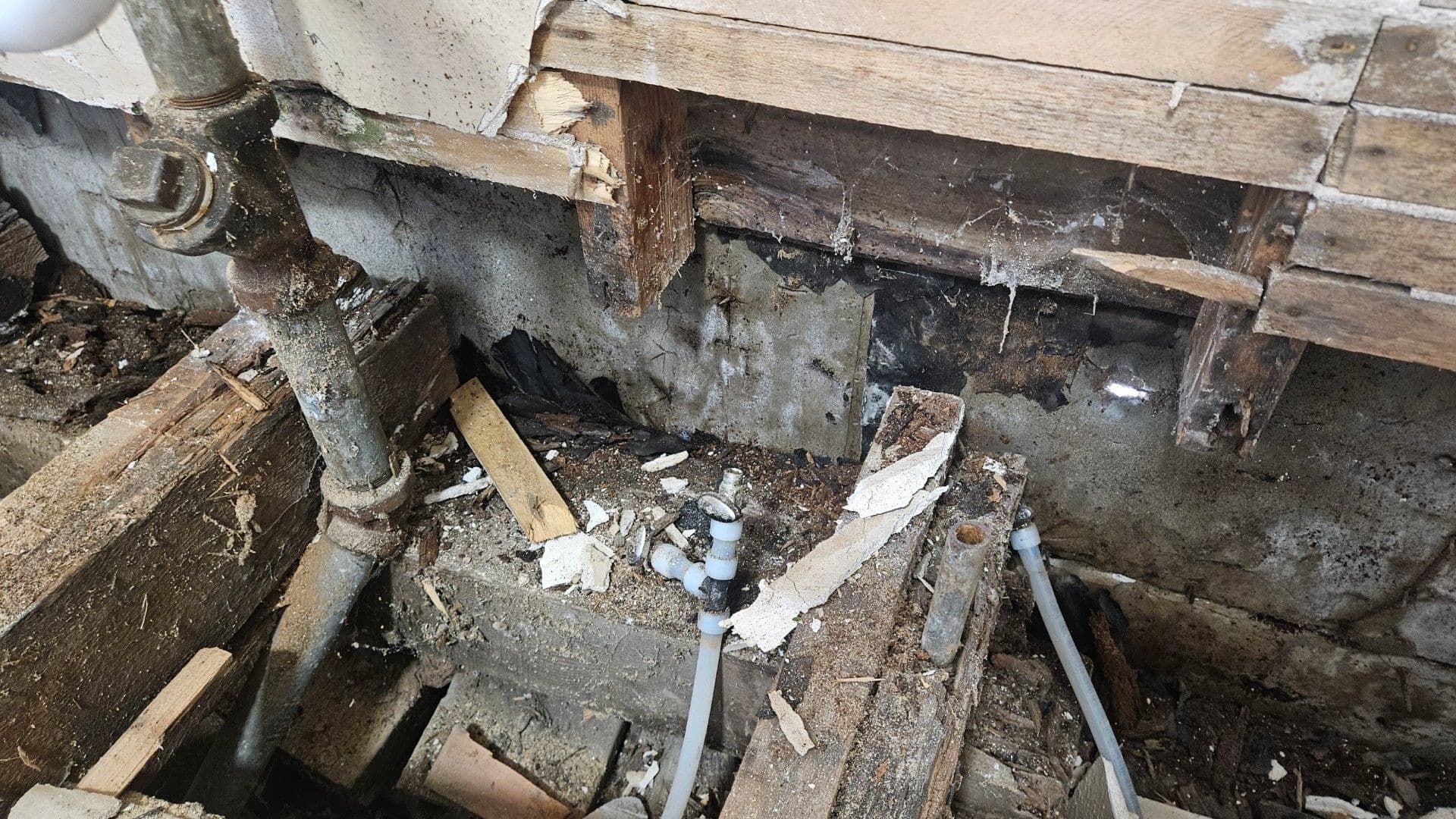 Project Water Damage Recovery Done Right - Demo, Mold Mitigation, and Rebuild image