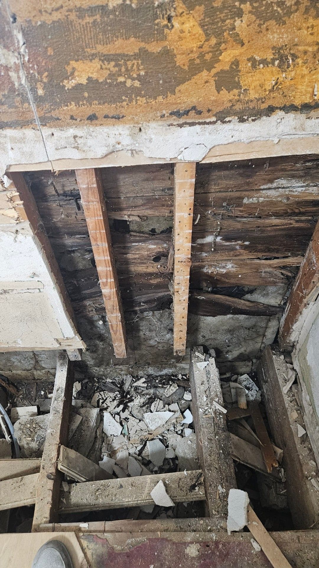 Gallery photos for Water Damage Recovery Done Right - Demo, Mold Mitigation, and Rebuild: Image #2