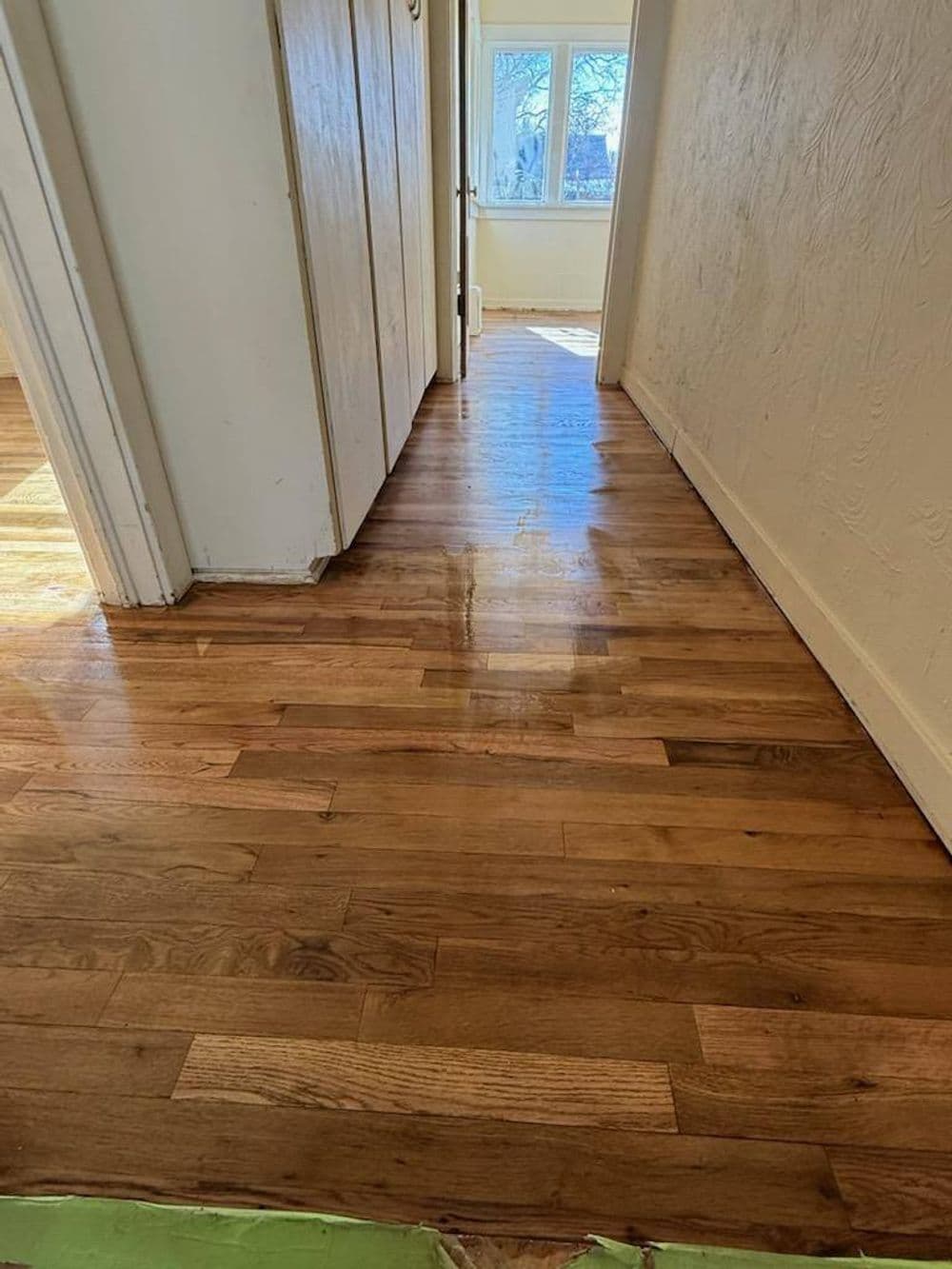 Polished hardwood floors reflecting light in a bright hallway.